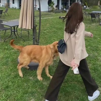 阿飞